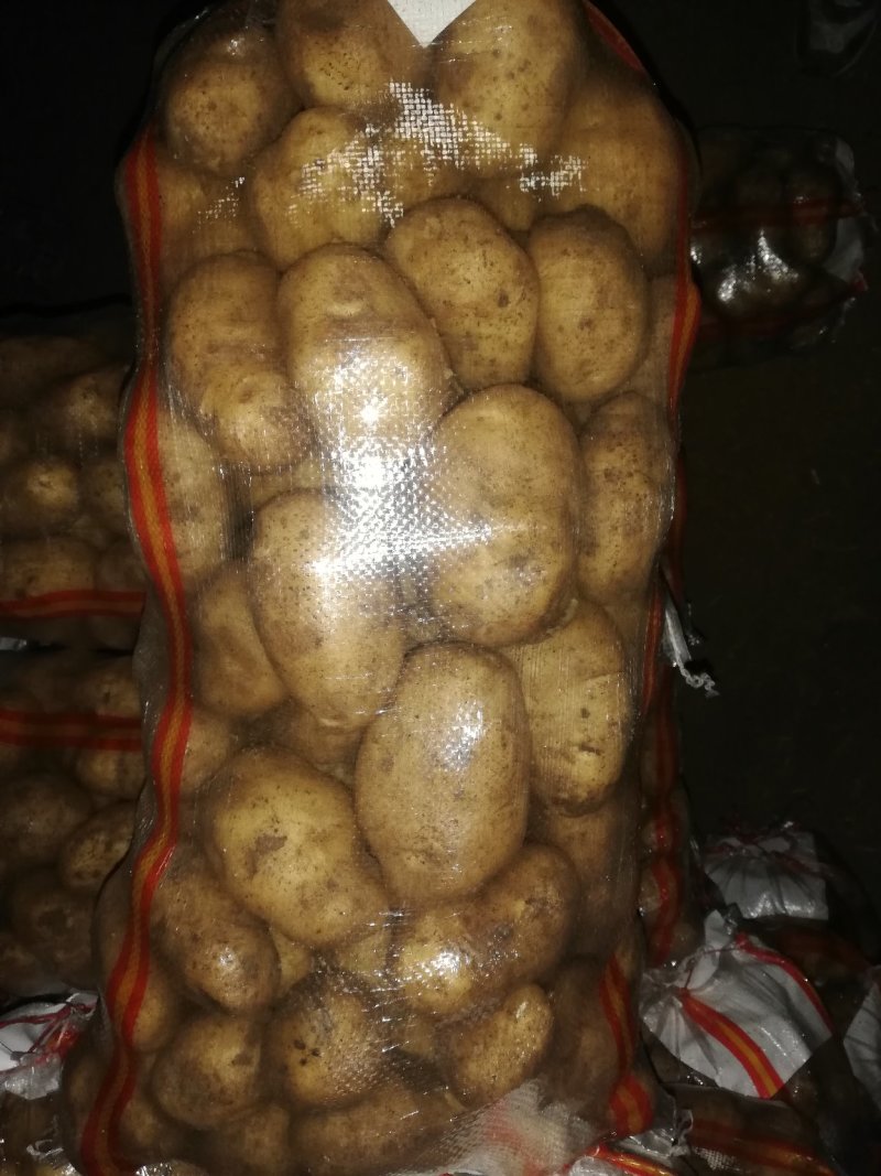 三优226精品思凡特