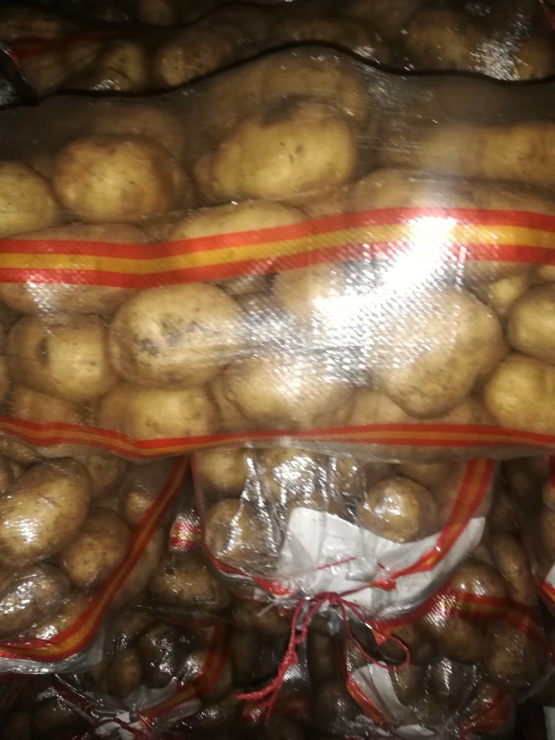 三优226精品思凡特