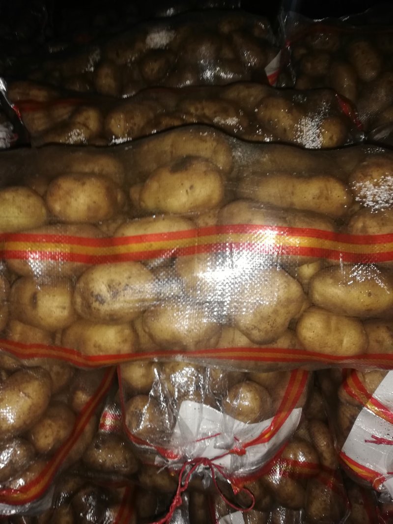 三优226精品思凡特