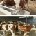 西门塔尔牛免费送货，肉牛犊存栏量1000头