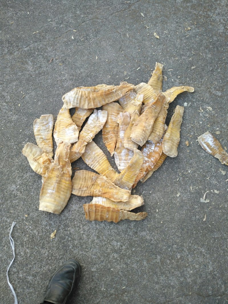 2020高山深处绿色食品压榨野生毛竹竿干