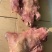 牛头肉，带皮牛头肉，去皮牛头肉，欢迎电联咨询