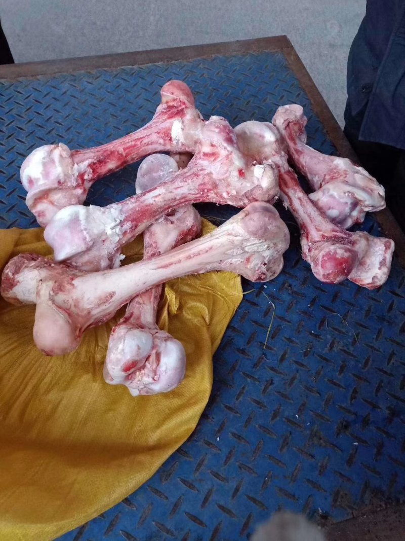 牛骨头，纯圆牛棒骨，骨髓多多，价位不高