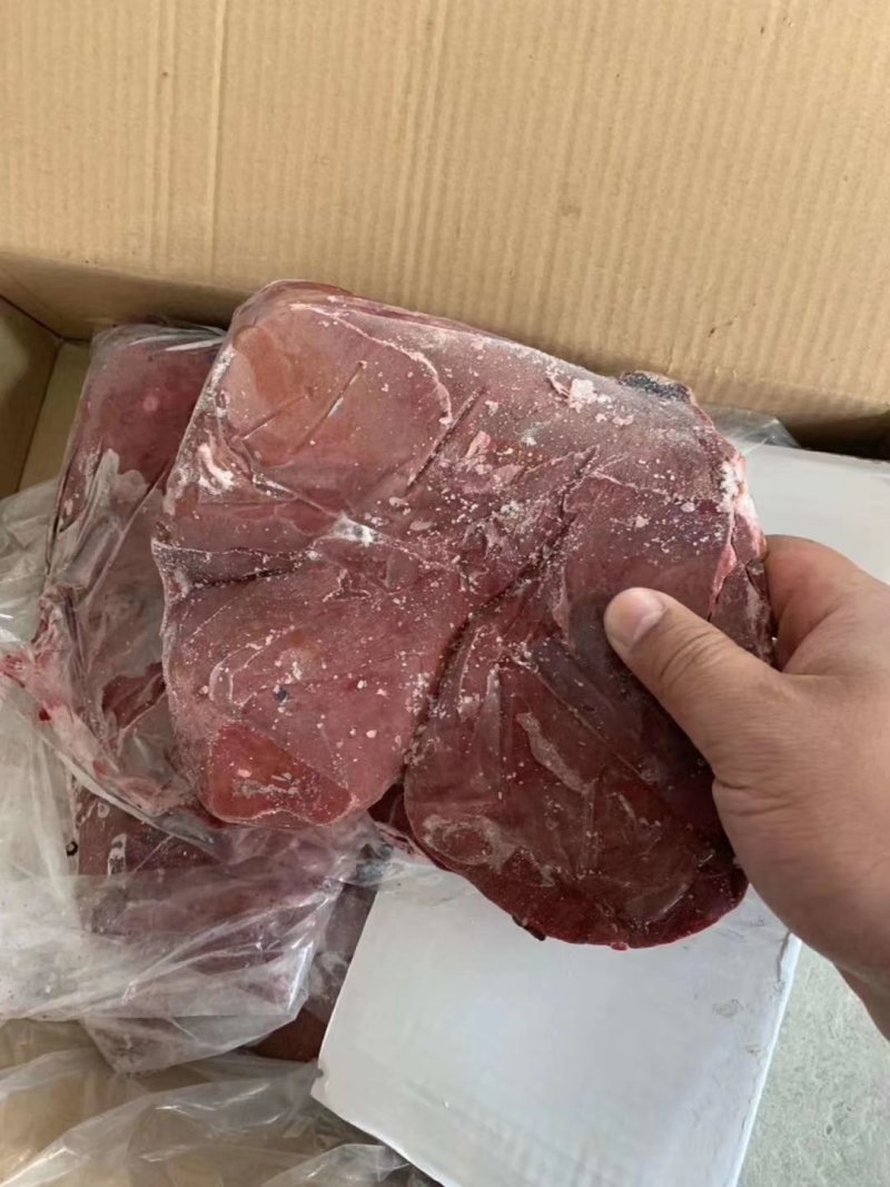 羊肝，欢迎开电询价。。。。。