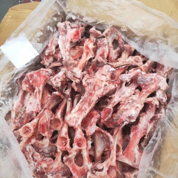 羊骨头，叉骨，脊骨，胸骨，棒骨