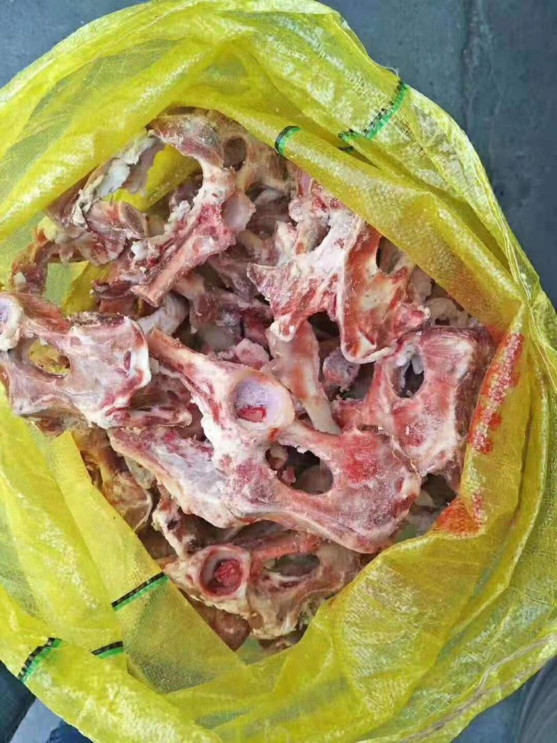 羊骨头，叉骨，脊骨，胸骨，棒骨