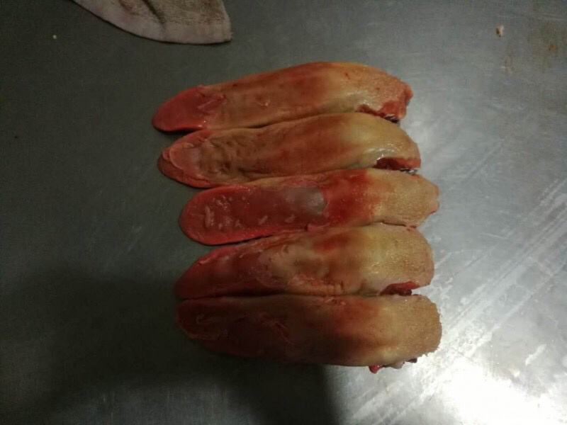 猪口条猪舌鲜货
