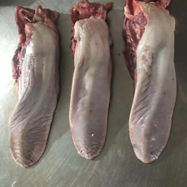 猪口条猪舌鲜货