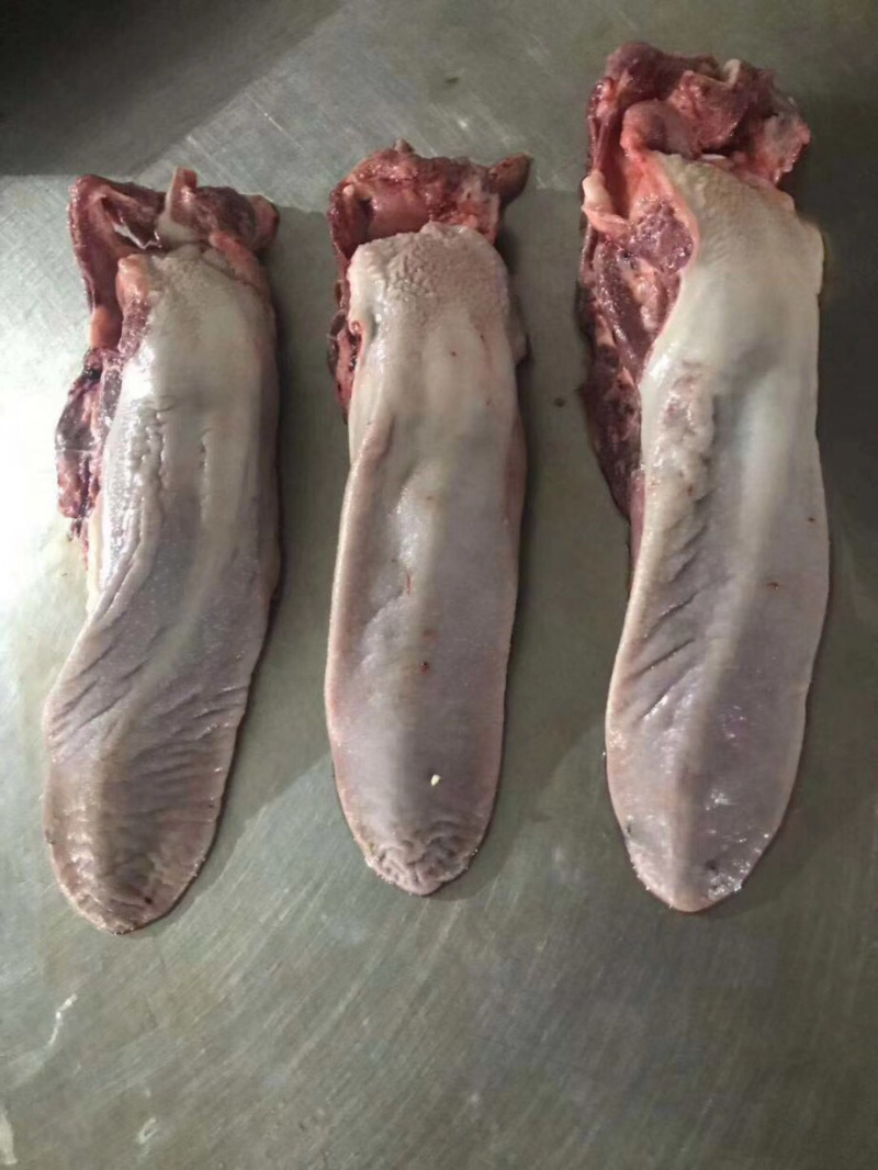 猪口条猪舌鲜货