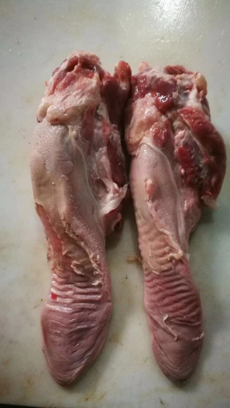 猪口条猪舌鲜货