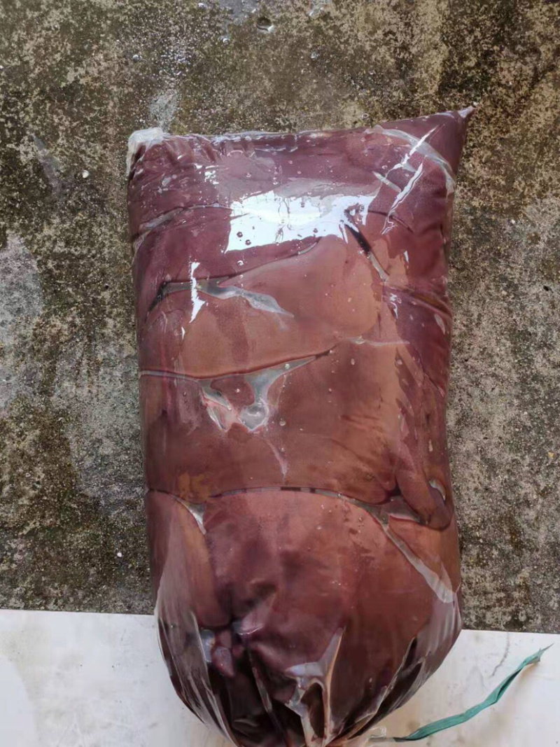 猪肝鲜货肥猪肝