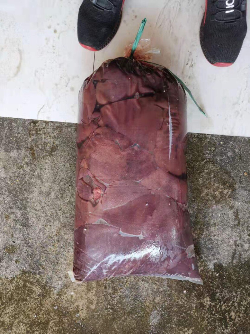 猪肝鲜货肥猪肝