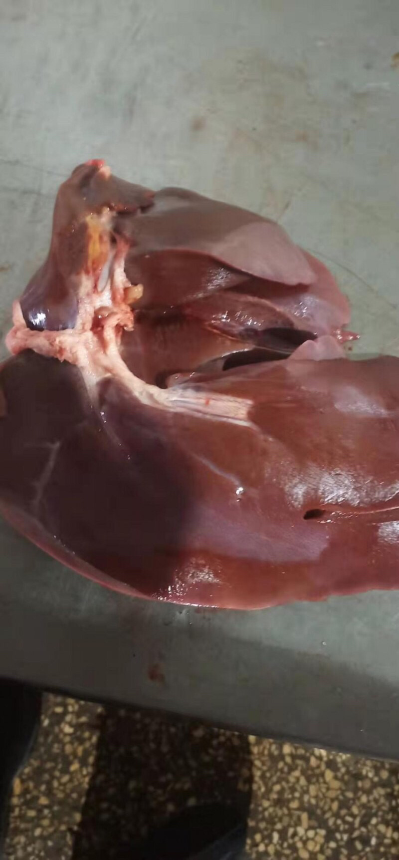 猪肝鲜货肥猪肝