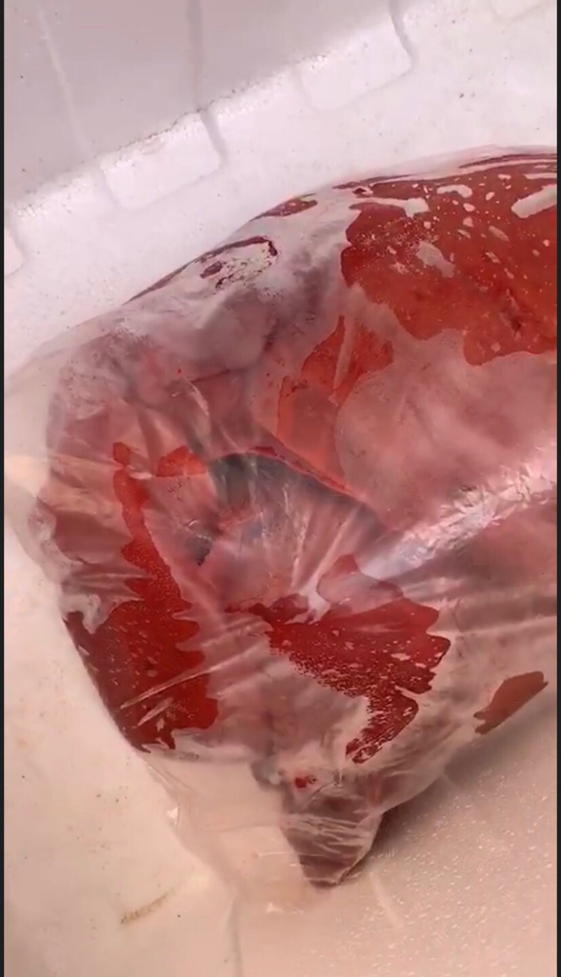 猪肝鲜货肥猪肝