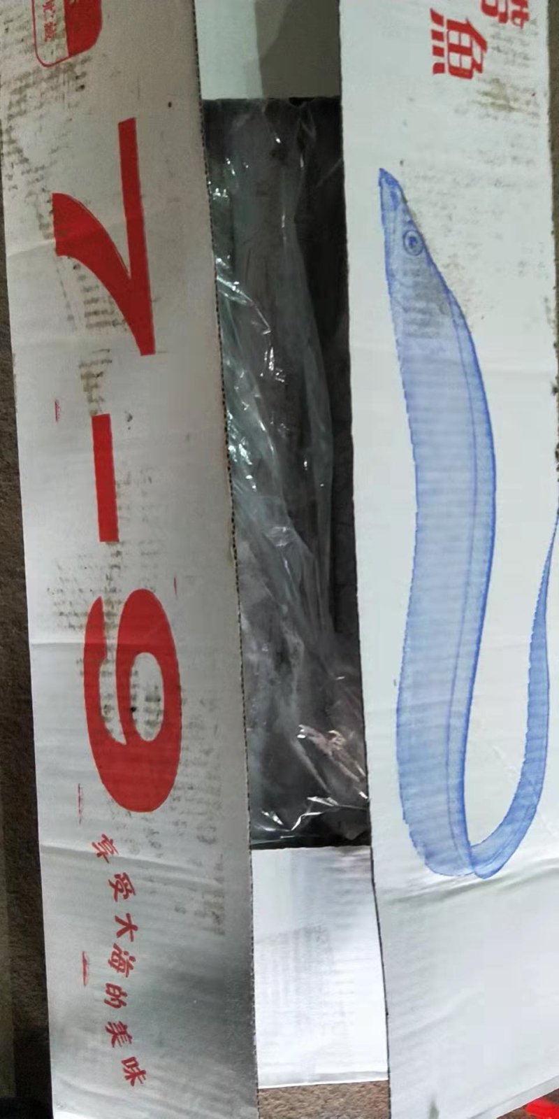 批发野生刀鱼