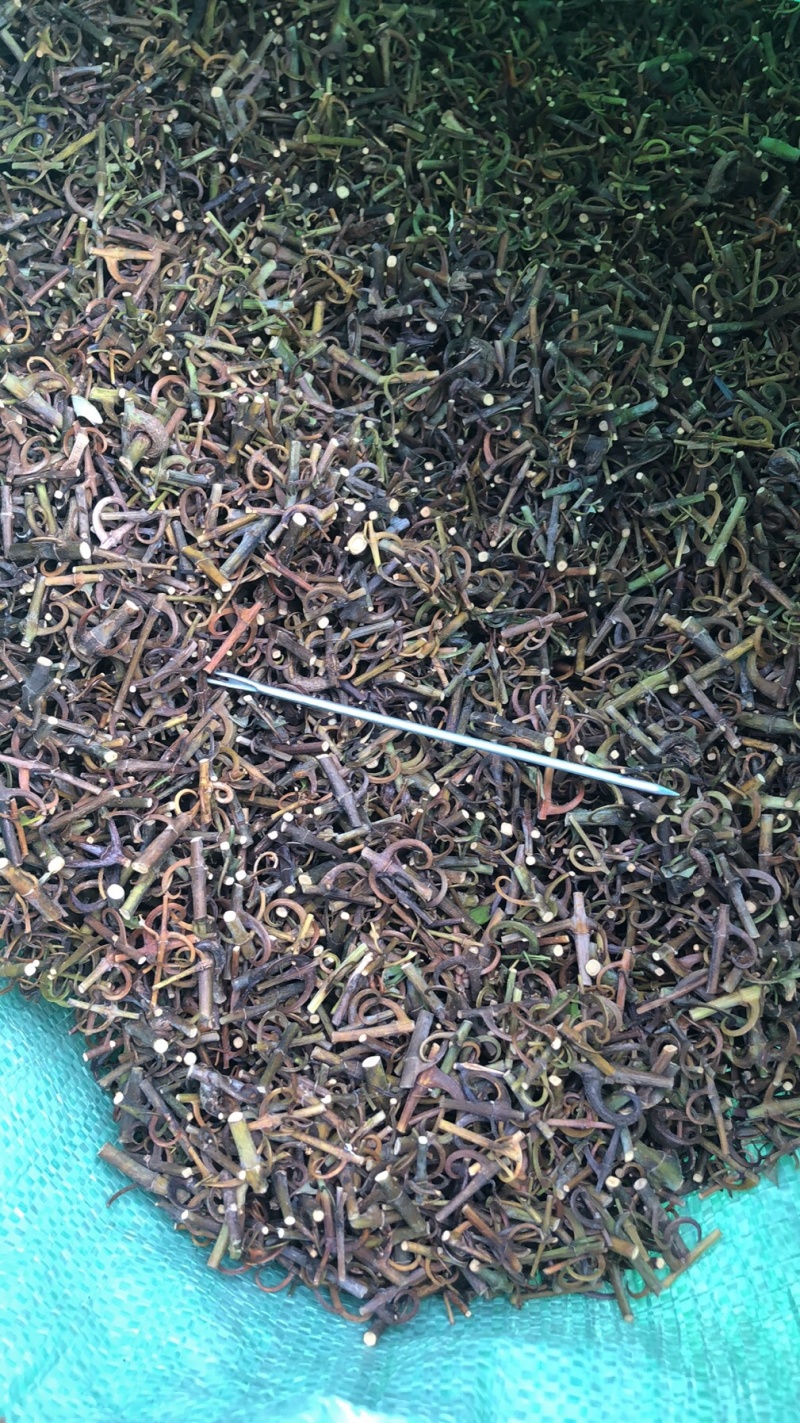 A级纯平有大货，产地一手货源。诚招实力经销商
