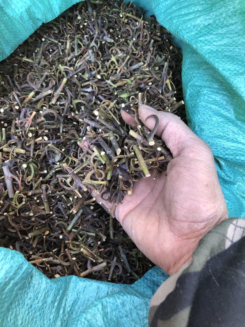 A级纯平有大货，产地一手货源。诚招实力经销商