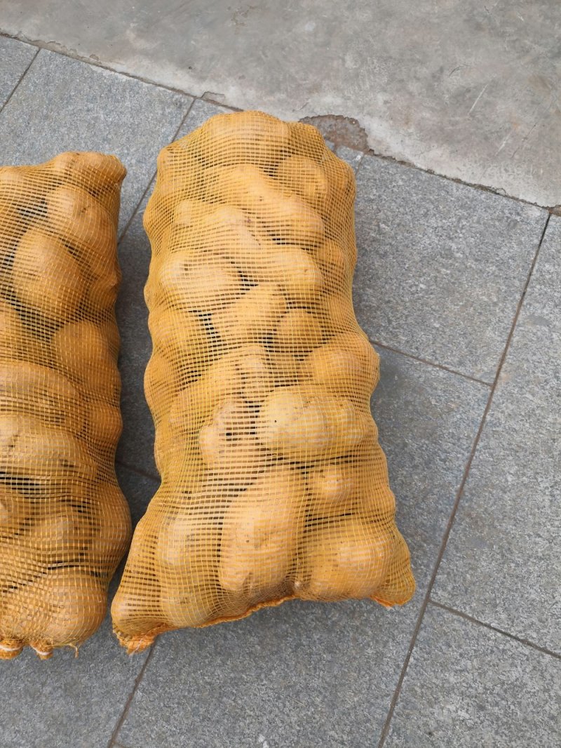 土豆