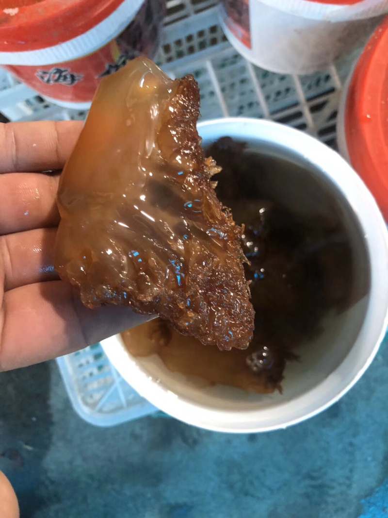 海蜇头