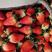 草莓甜宝草莓大量有货保质保量诚信为本合作共赢