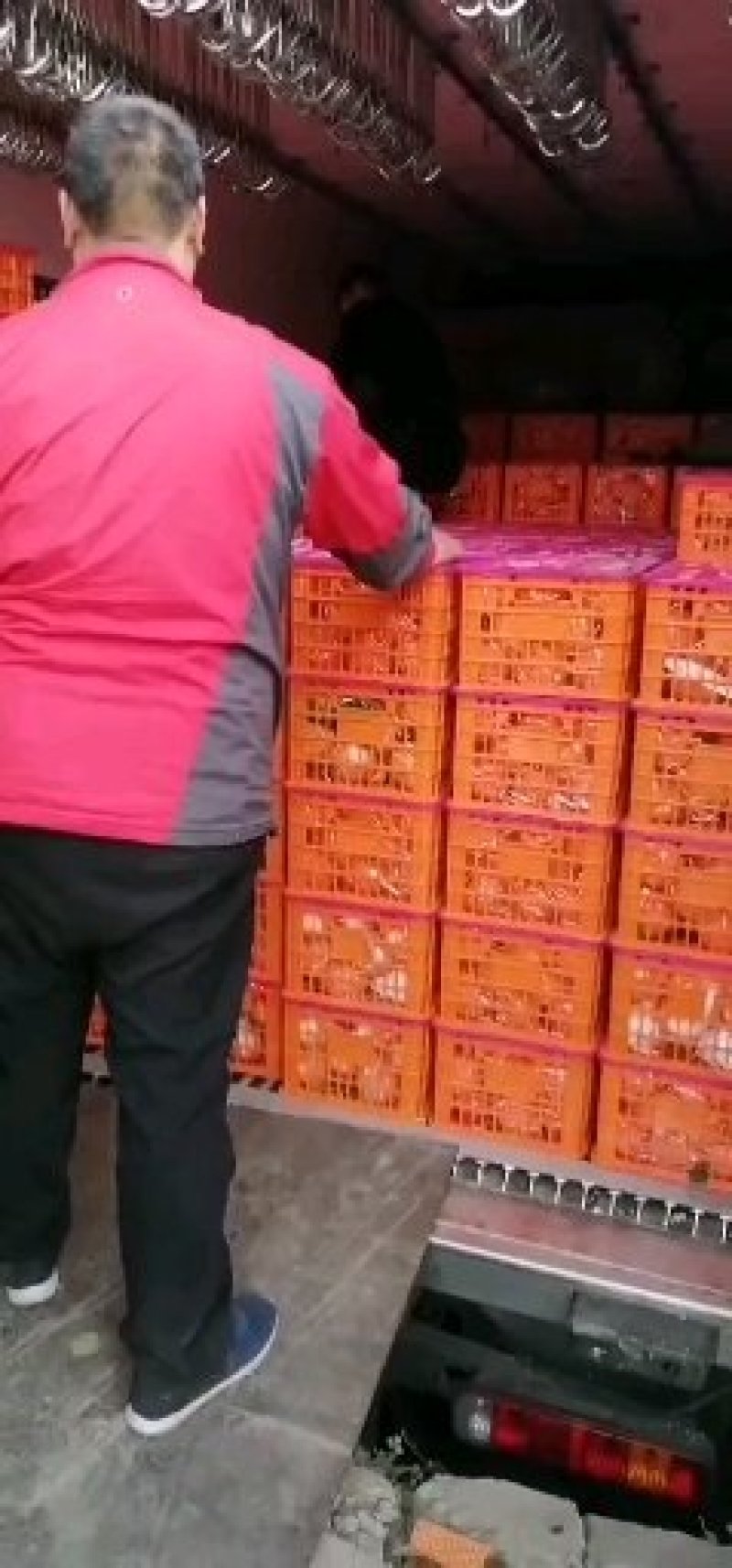 春见，耙耙柑漂亮，味道好，货源充足，大量上市