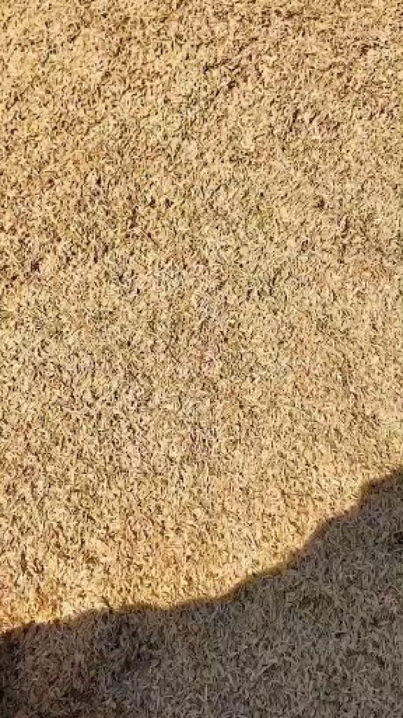 稻壳长年供应压缩稻壳，用于养殖