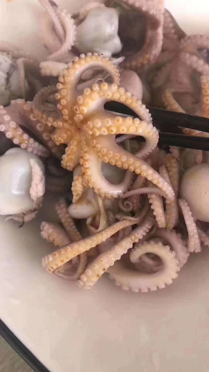 章鱼，盐磨章鱼花，三去小章鱼，一口章，八爪鱼