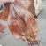 朝鲜印尼水发鱿鱼泡发用的