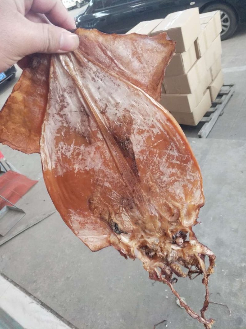朝鲜印尼水发鱿鱼泡发用的