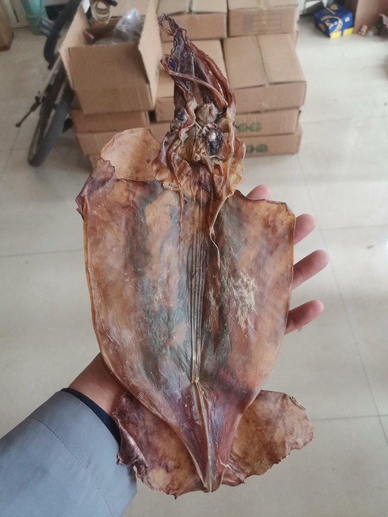 朝鲜印尼水发鱿鱼泡发用的