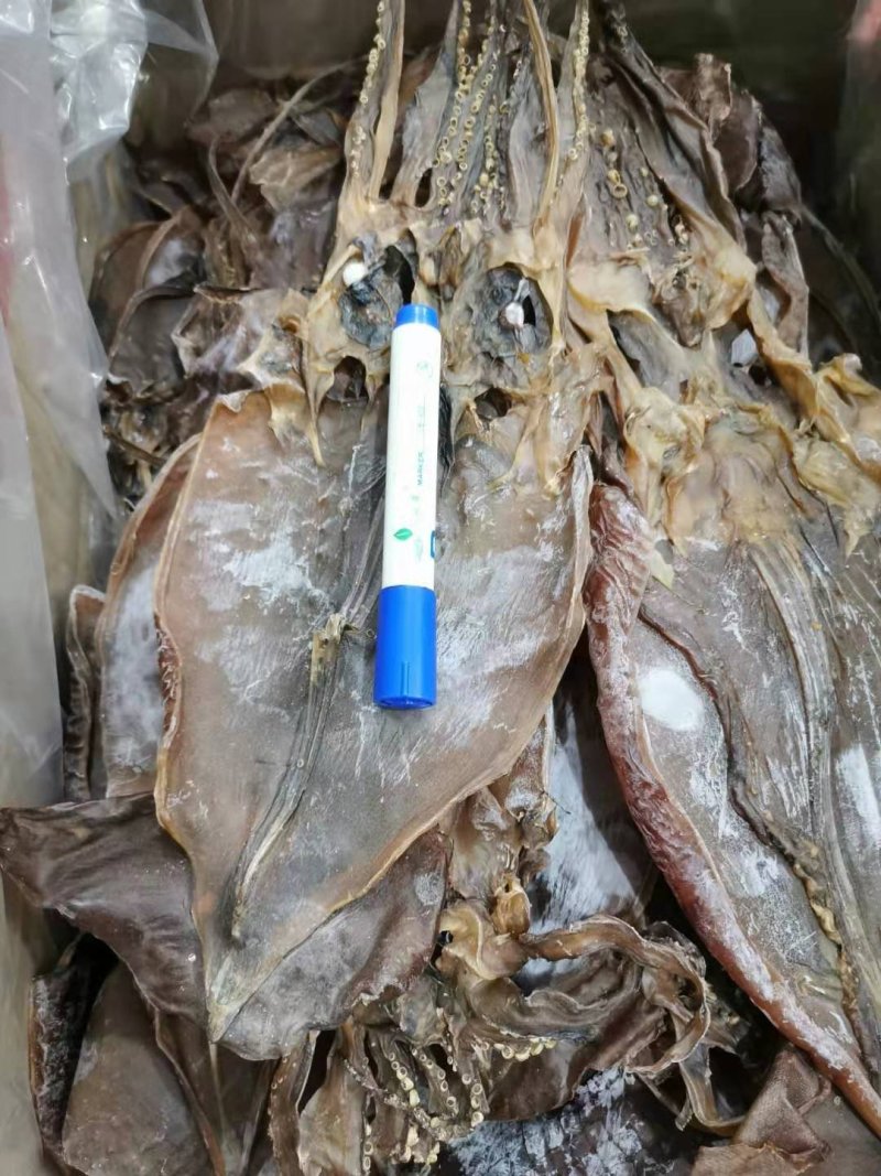 朝鲜印尼水发鱿鱼泡发用的