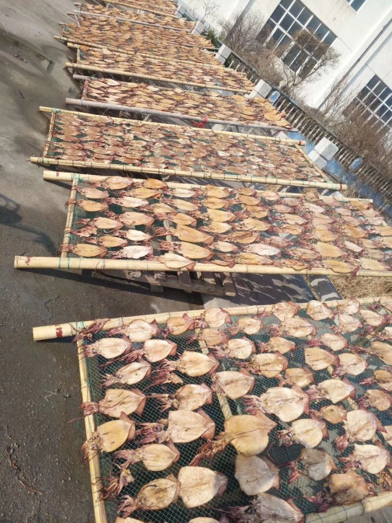 朝鲜印尼水发鱿鱼泡发用的
