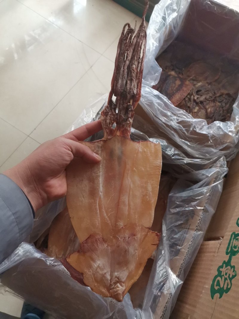 朝鲜印尼水发鱿鱼泡发用的