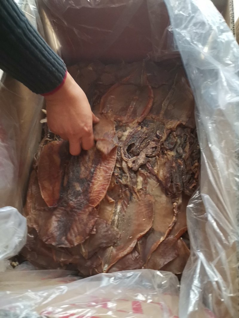 朝鲜印尼水发鱿鱼泡发用的