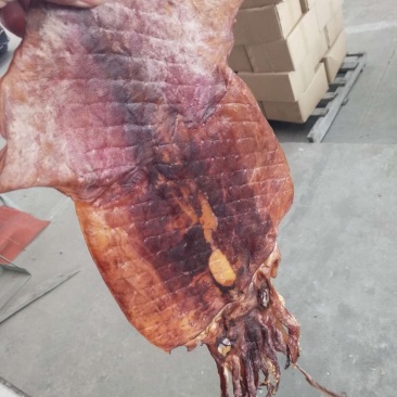 朝鲜印尼水发鱿鱼泡发用的
