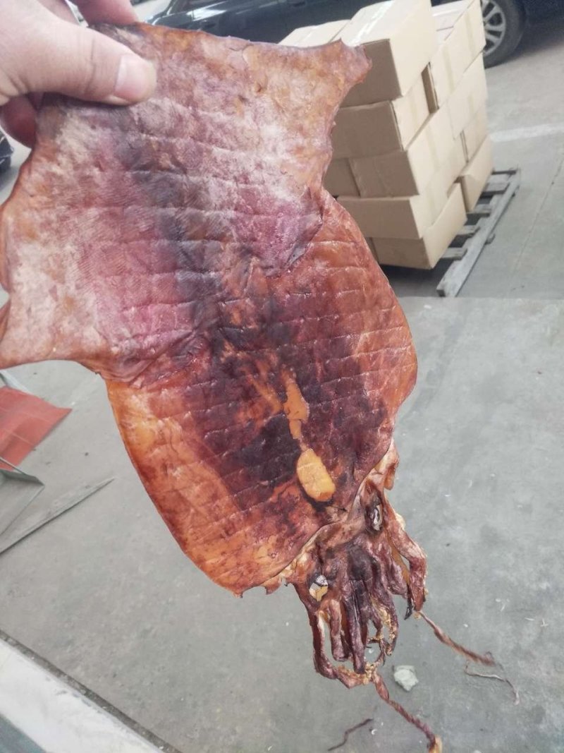 朝鲜印尼水发鱿鱼泡发用的