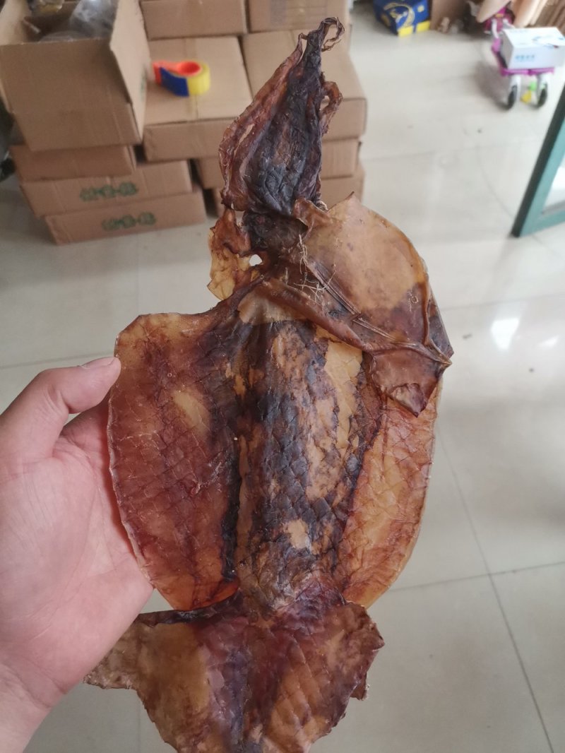 朝鲜印尼水发鱿鱼泡发用的