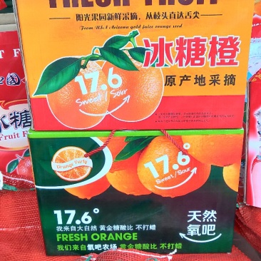 麻阳冰糖橙自家果园专卖
