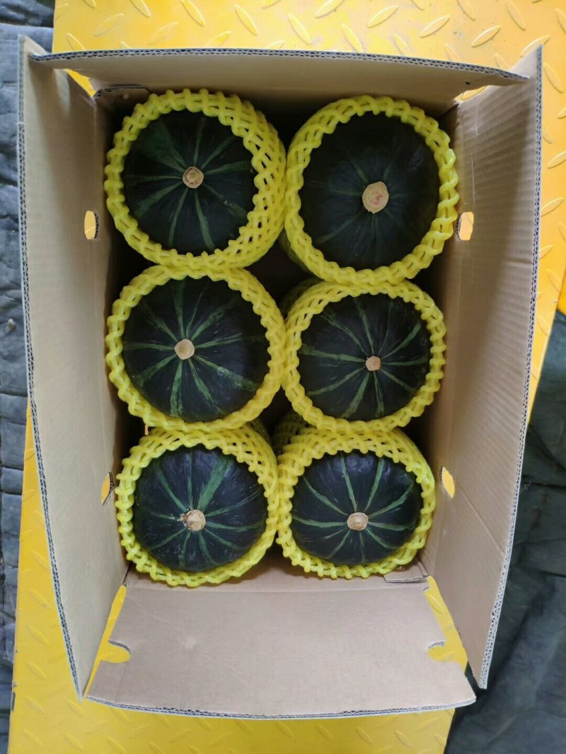 诚信【农户直供】上市中《贝贝小南瓜》不包含运费