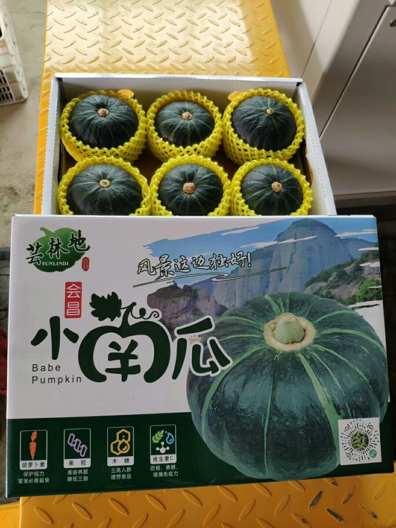 诚信【农户直供】上市中《贝贝小南瓜》不包含运费