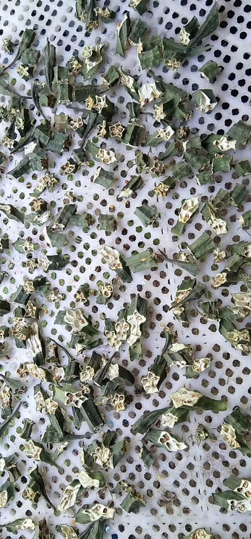 秋葵果干，秋葵干，泡茶，养胃