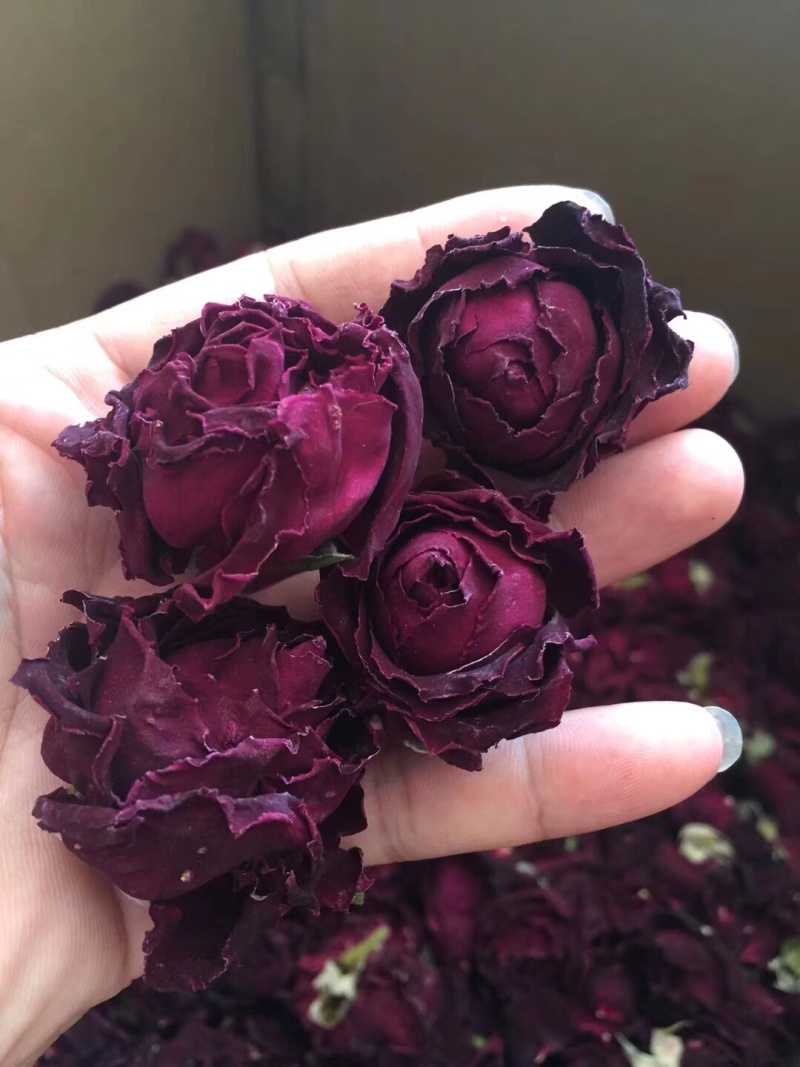 玫瑰花云南冻干墨红玫瑰花干花茶