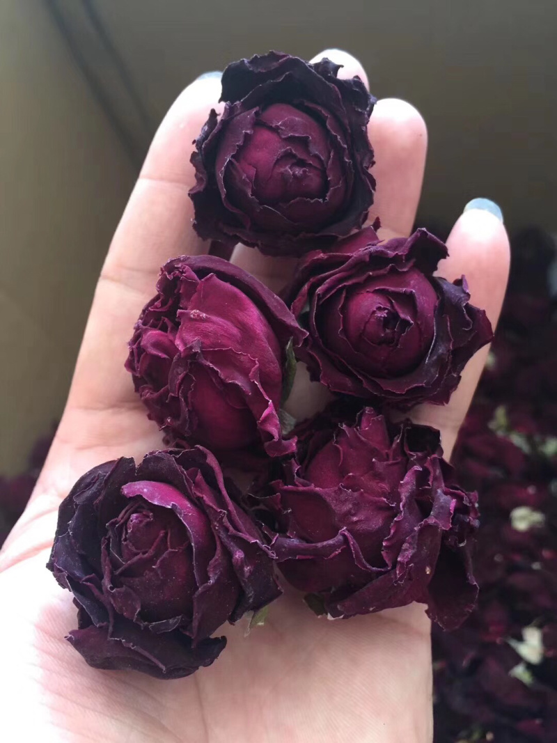 玫瑰花云南冻干墨红玫瑰花干花茶