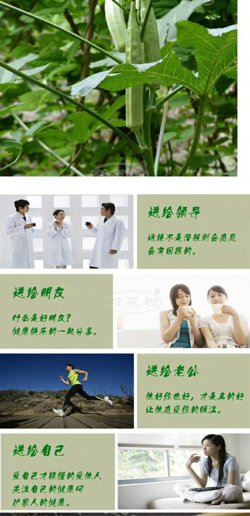 秋葵果干，秋葵干，泡茶，养胃