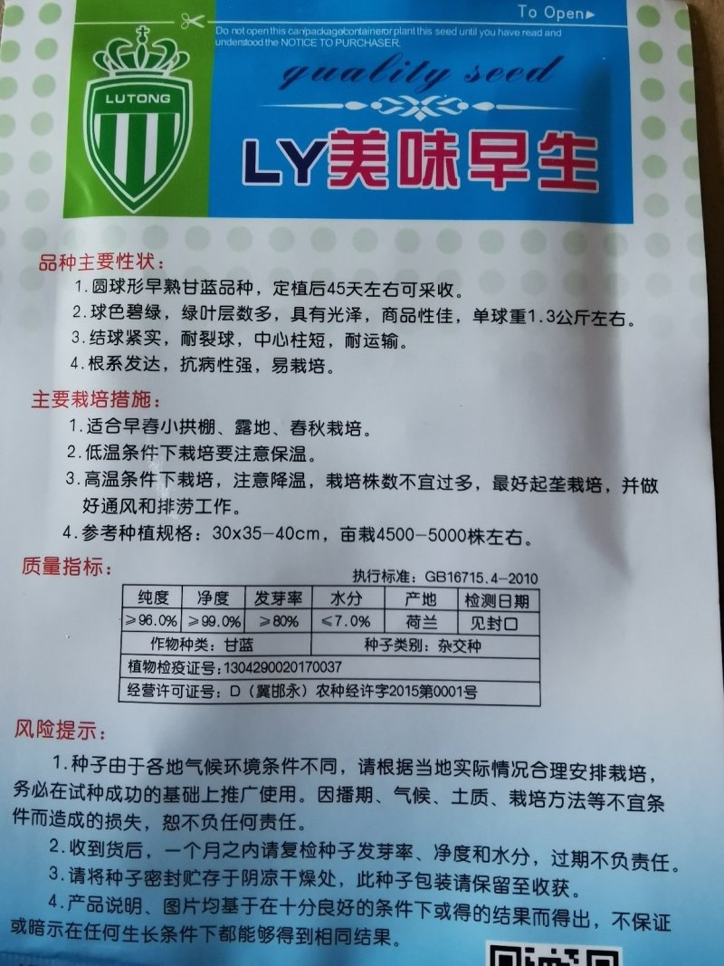 早春甘蓝美味早生甘蓝40天上市早熟甘蓝颜色绿