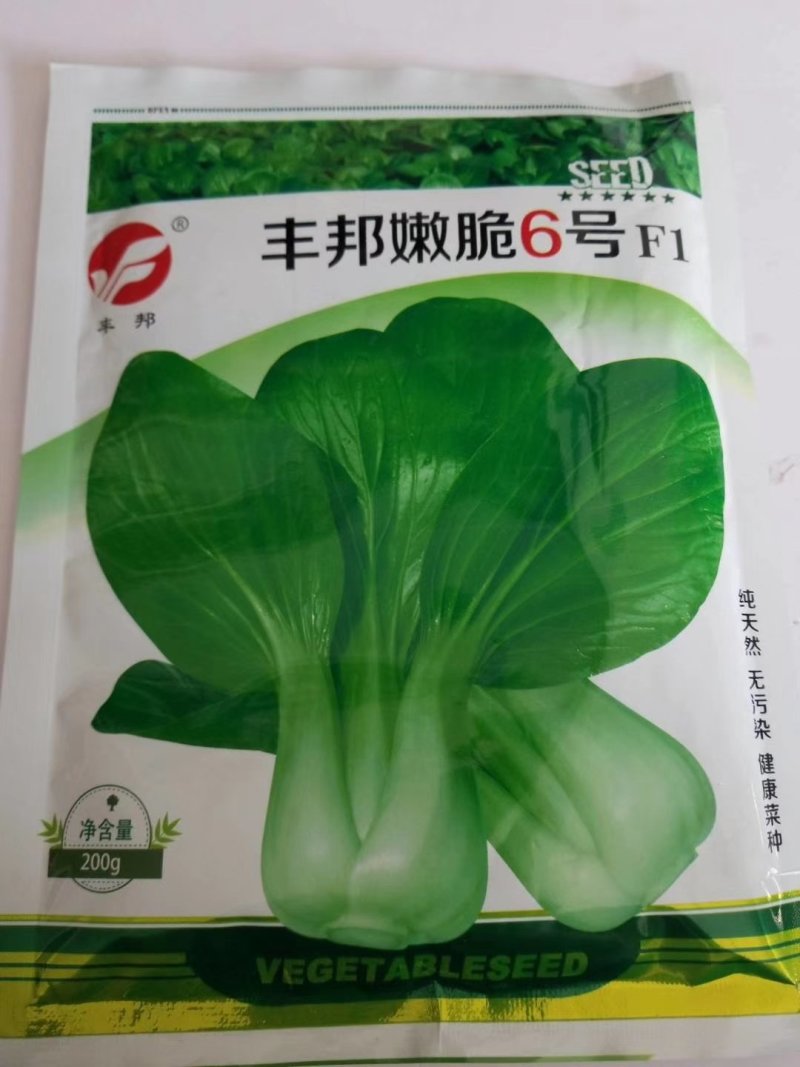 青梗菜种子，耐寒冬青王，丰邦嫩翠，冬美冠种子