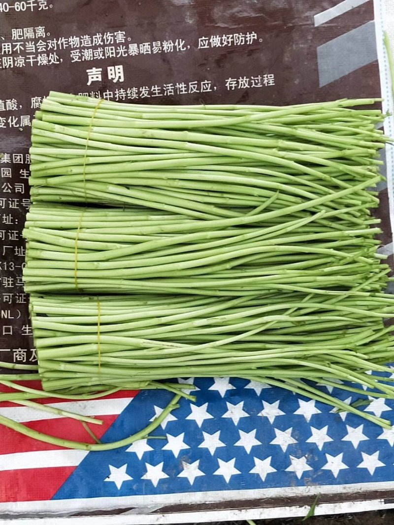 芦蒿