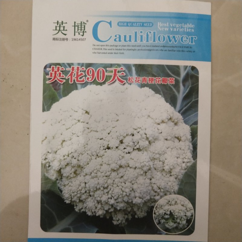 花菜种子，丰田青梗花菜种子，，川岛松花夏季专用品种