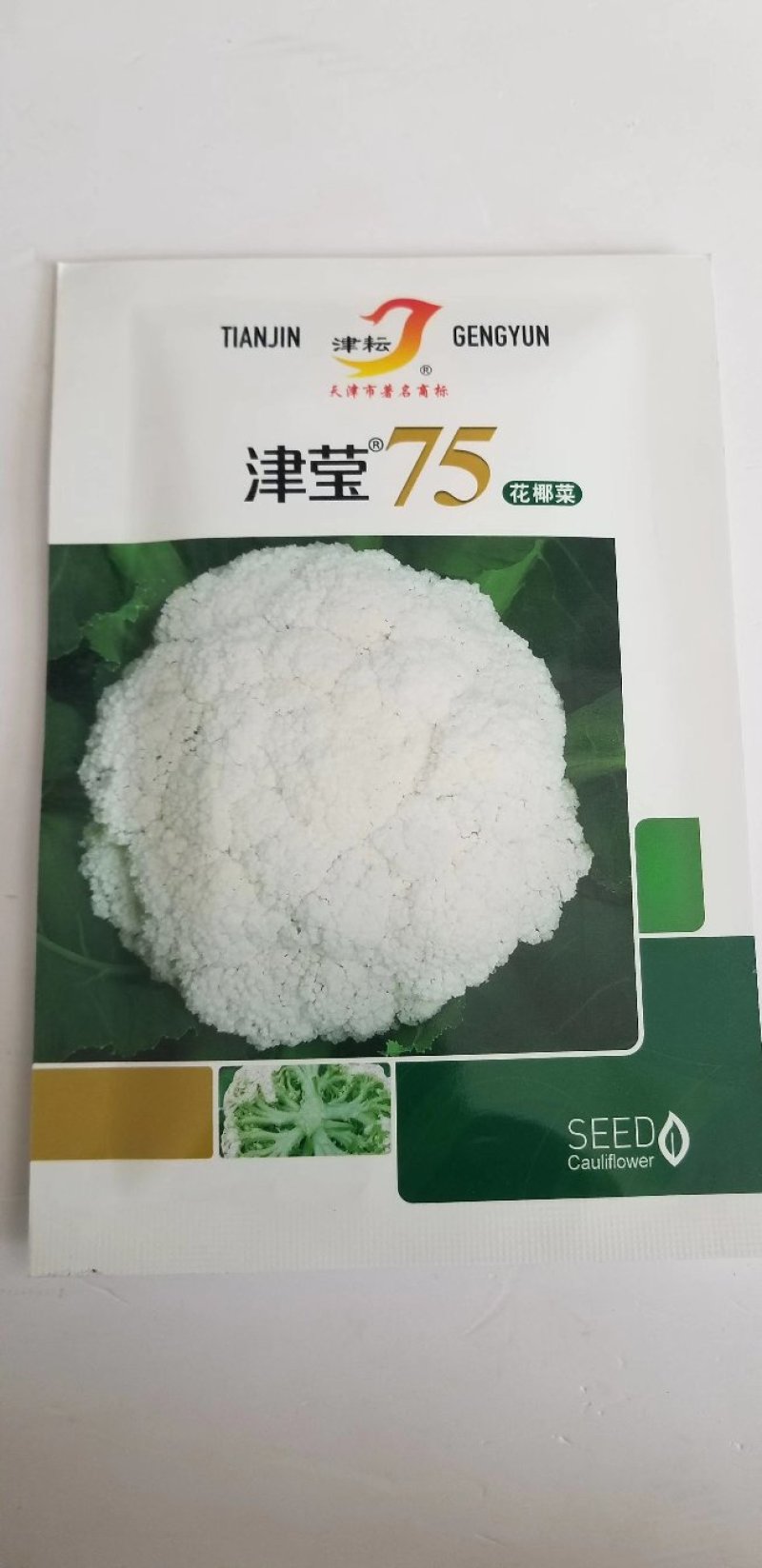 花菜种子，丰田青梗花菜种子，，川岛松花夏季专用品种