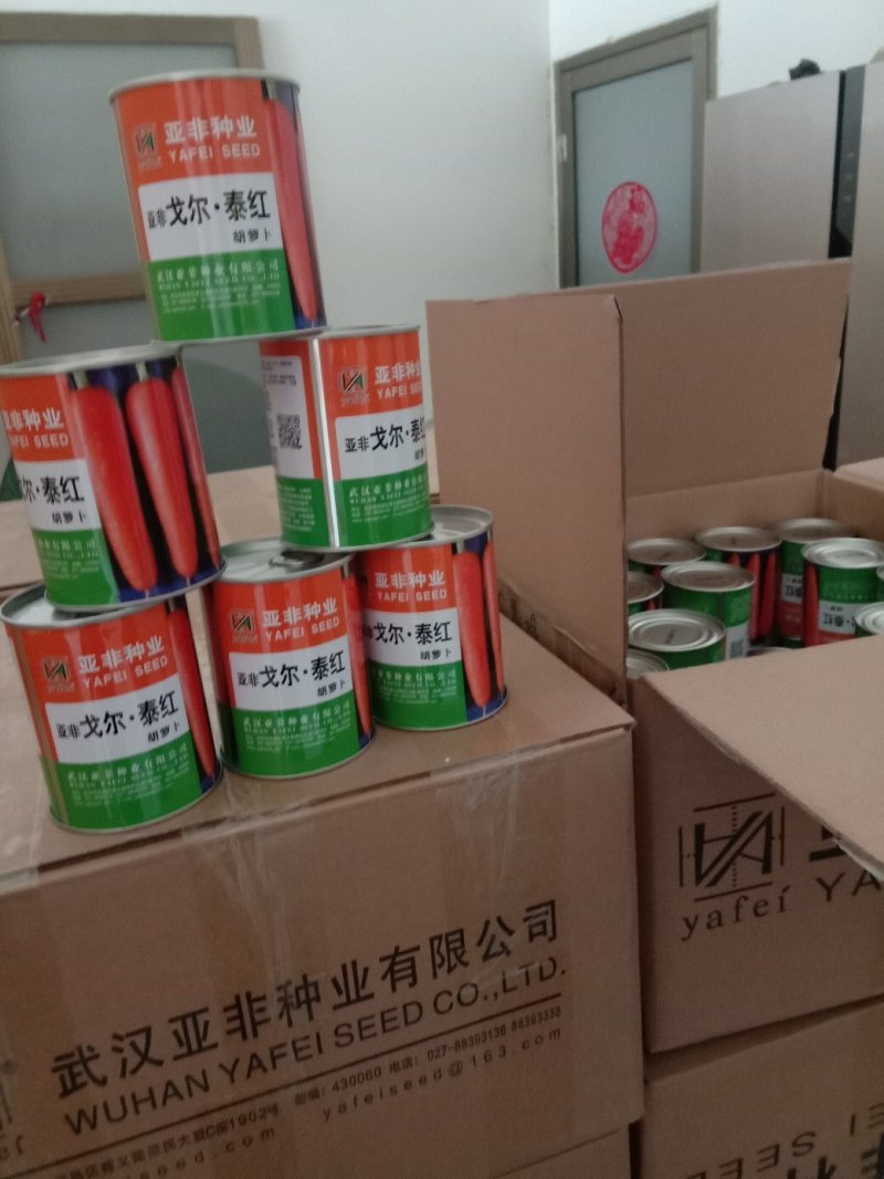 高端优质胡萝卜种子